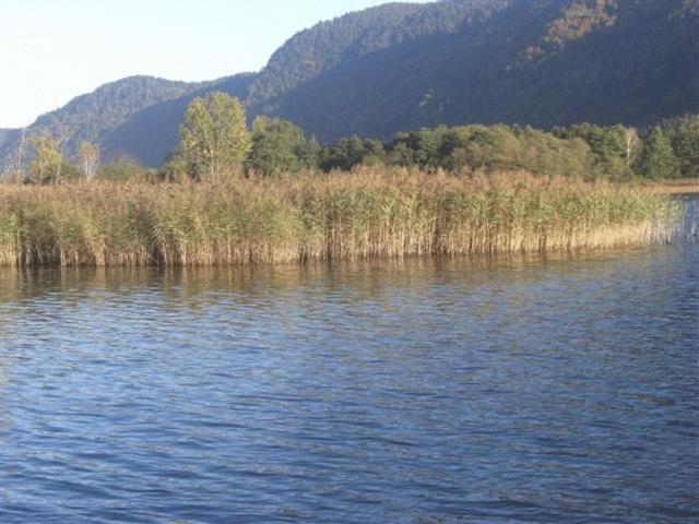 Gasthof Laggner Steindorf am Ossiacher See Bagian luar foto