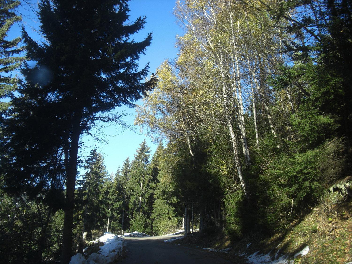 Gasthof Laggner Steindorf am Ossiacher See Bagian luar foto